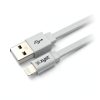 XYST Dual USB Wall Charger Fast Charge Foldable Design-2